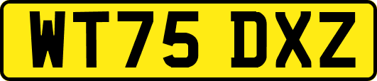 WT75DXZ