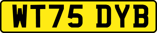 WT75DYB