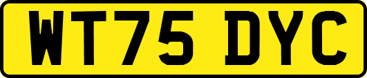 WT75DYC