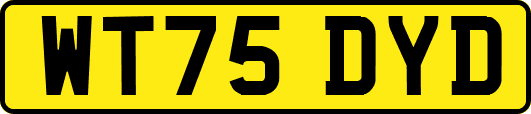 WT75DYD