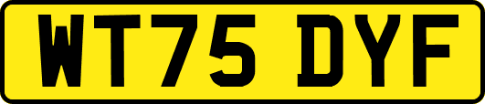 WT75DYF