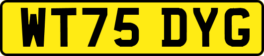 WT75DYG