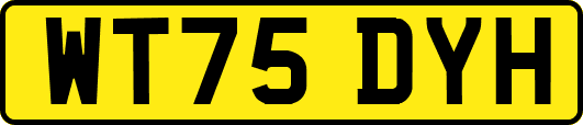 WT75DYH