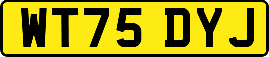 WT75DYJ