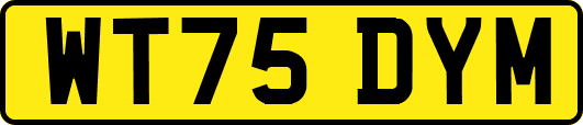 WT75DYM