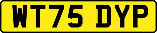 WT75DYP