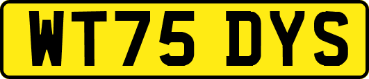 WT75DYS