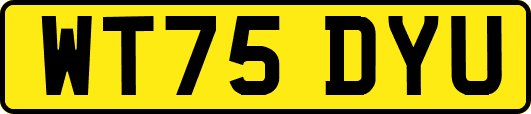 WT75DYU