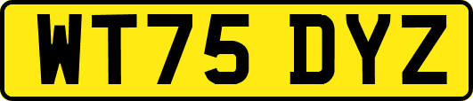 WT75DYZ