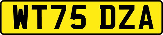 WT75DZA