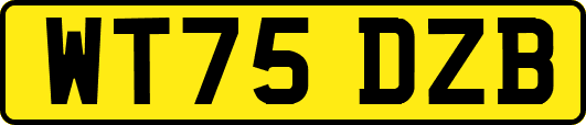 WT75DZB