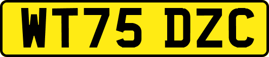WT75DZC