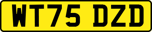 WT75DZD
