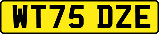WT75DZE