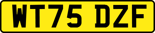 WT75DZF