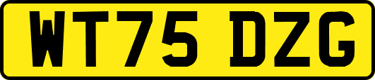 WT75DZG