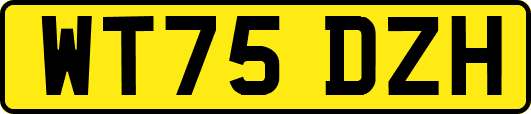 WT75DZH