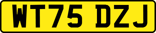 WT75DZJ