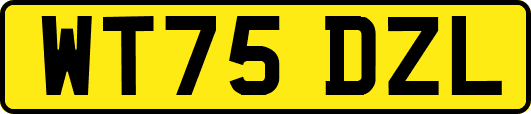 WT75DZL