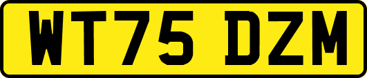 WT75DZM