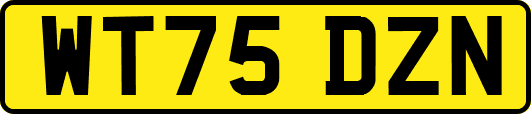 WT75DZN