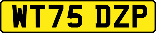 WT75DZP