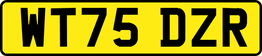WT75DZR
