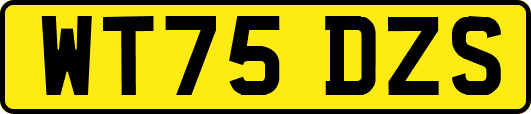 WT75DZS