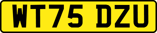WT75DZU