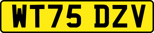 WT75DZV