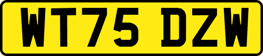 WT75DZW