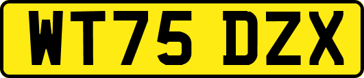 WT75DZX