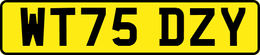 WT75DZY