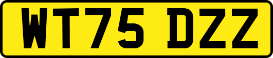WT75DZZ