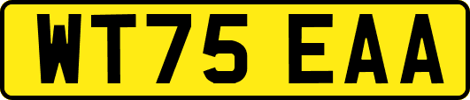 WT75EAA