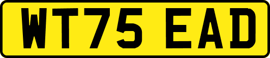 WT75EAD