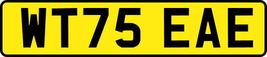 WT75EAE