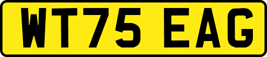 WT75EAG