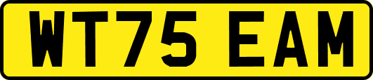 WT75EAM