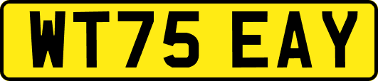 WT75EAY