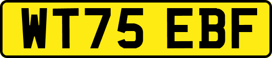 WT75EBF