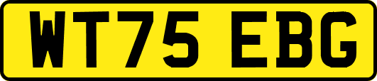 WT75EBG
