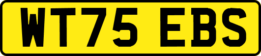 WT75EBS