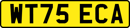 WT75ECA