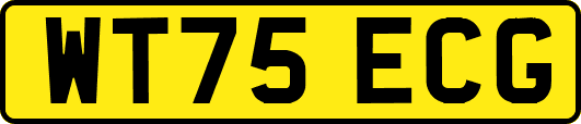 WT75ECG