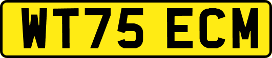 WT75ECM