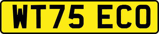 WT75ECO