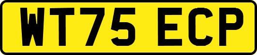 WT75ECP
