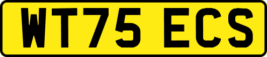 WT75ECS
