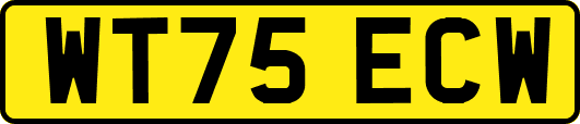 WT75ECW